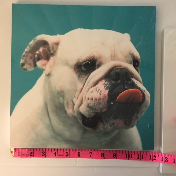 12” x 12” Dog Canvas Art Print Lot of 2 - Picture 4 of 10